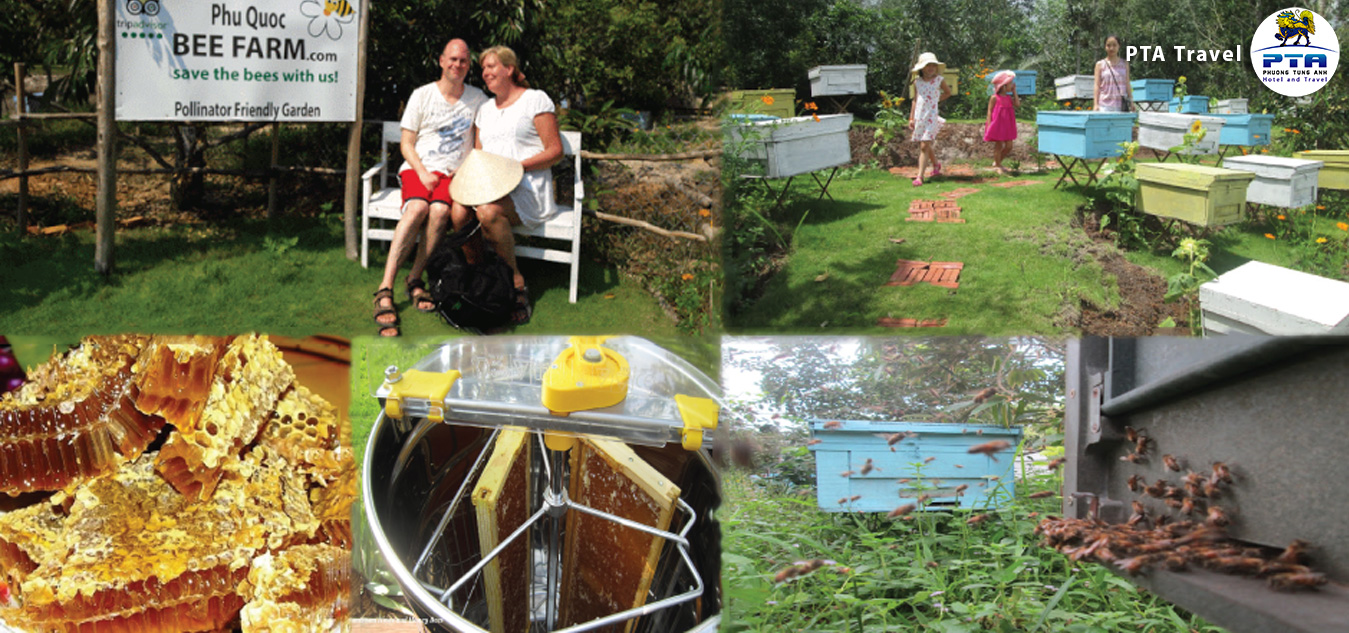 bee-farm-phu-quoc