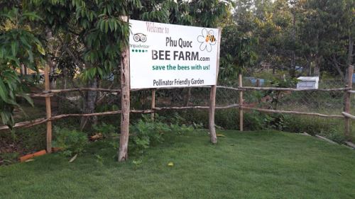 Phu Quoc Bee Farm