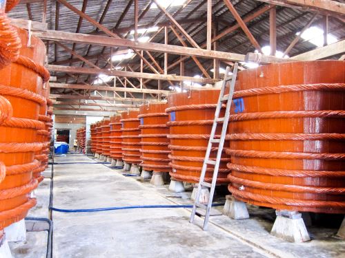 Visit a fish sauce factory Phu Quoc