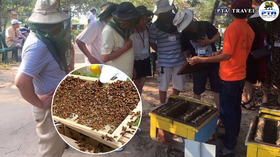 can-canh-cau-ong-mat-bee-farm-phu-quoc