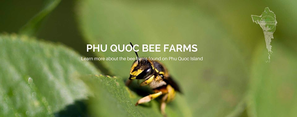 phu-quoc-bee-farms