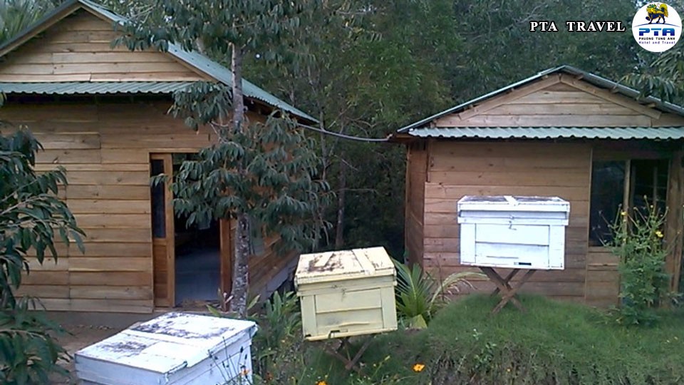 thung-ong-nhieu-sac-mau-tai-bee-farm