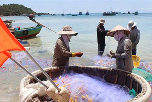 Tour Hàng Ngày