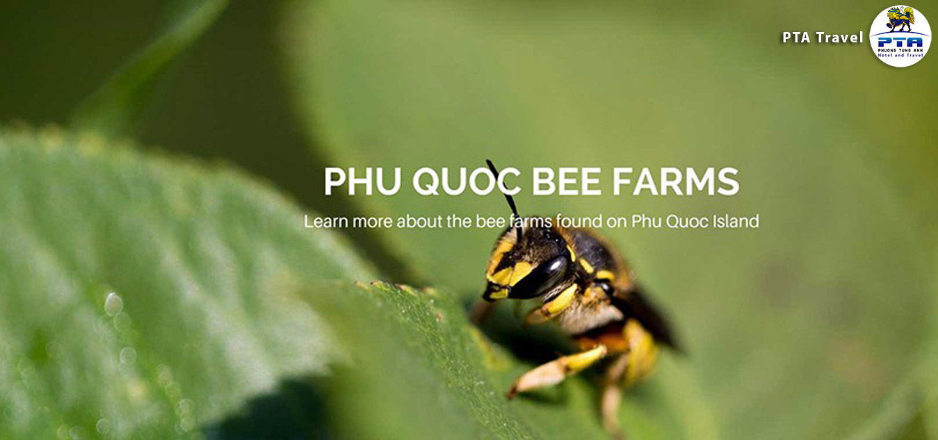 natural-honey-bee-farm-phu-quoc-01