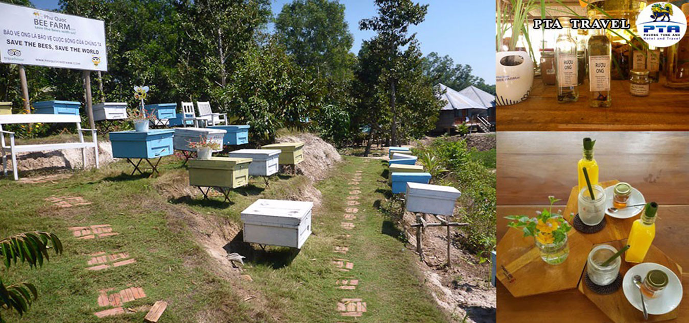 natural-honey-bee-farm-phu-quoc-02