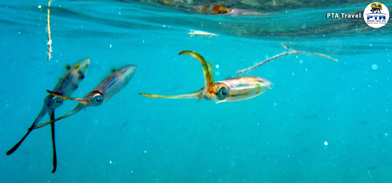 Night-squid-fishing-ru-06