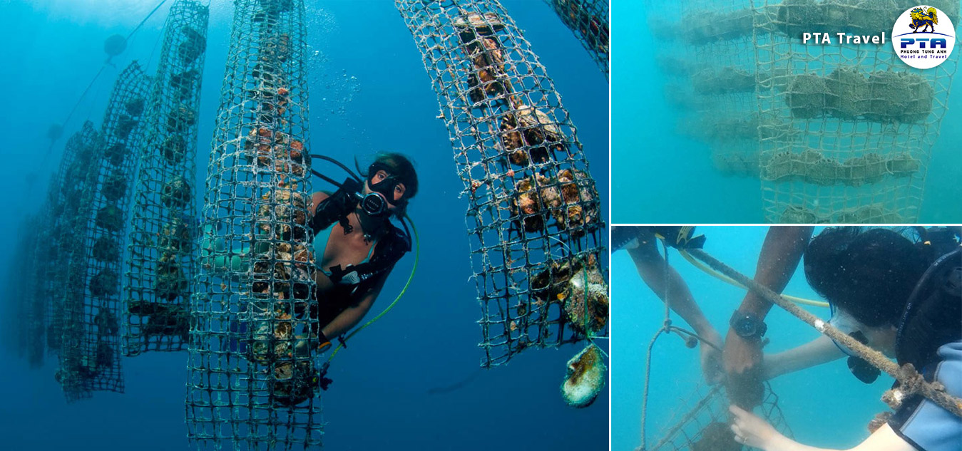 Under-water-sea-walker-ru-16