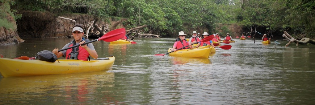 north-island-kayak-ru-03